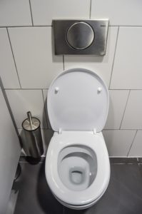 Clogged Toilet